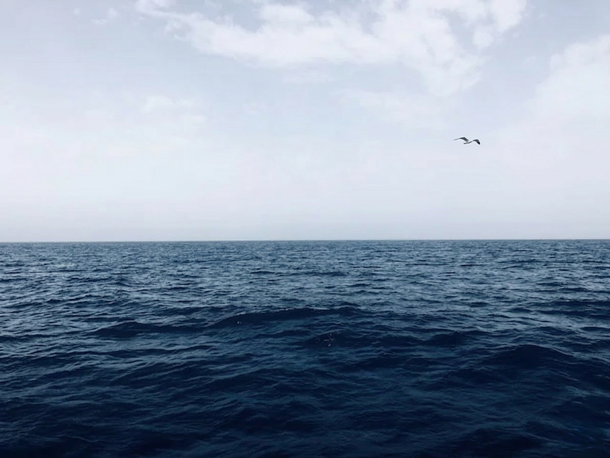 Representational Image