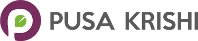 Winner Logo
