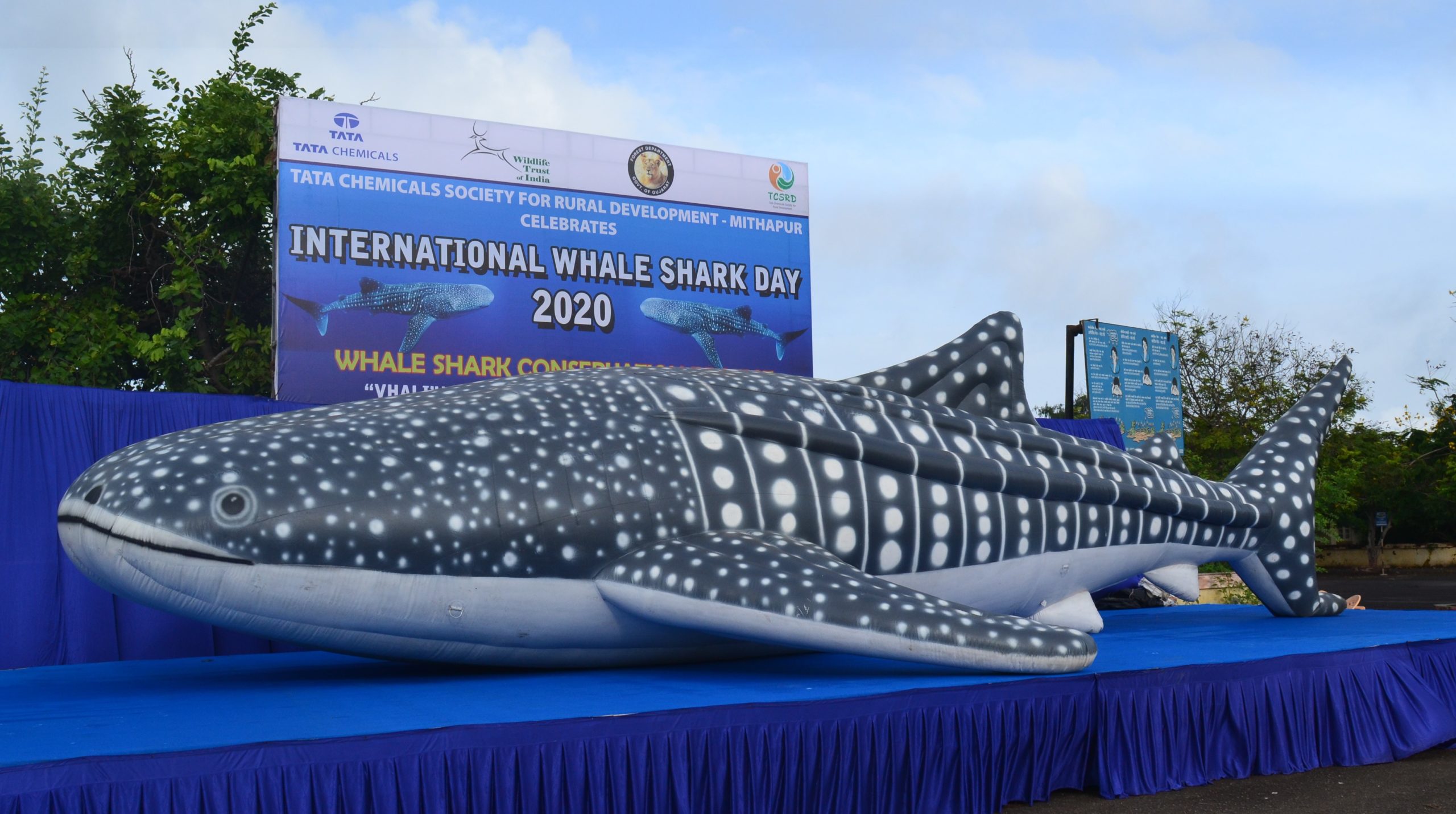 Tata Chemicals, WTI collaboration  protects hundreds of endangered whale sharks