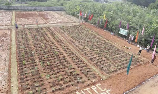 NTPC Ramagundam launches Phase-II of Miyawaki Method Plantation