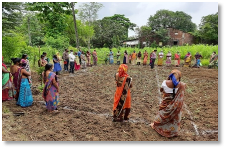 Atul Nutrition Garden – A health-focused rural project with a blend of capacity building and livelihood creation