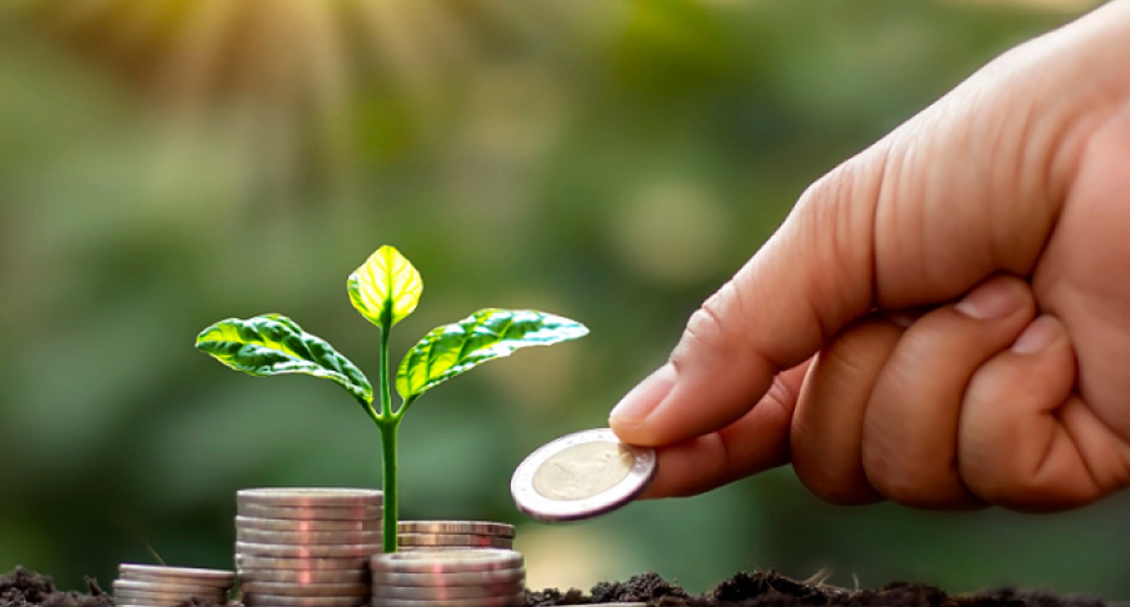 Why and how the expenses on sustainability initiatives are an investment for vibrant and inclusive growth?