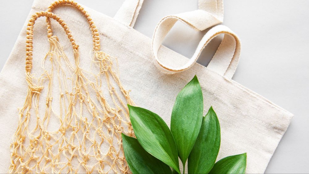 MoT, UNEP and CCI join hands to mainstream sustainability across textile value chain
