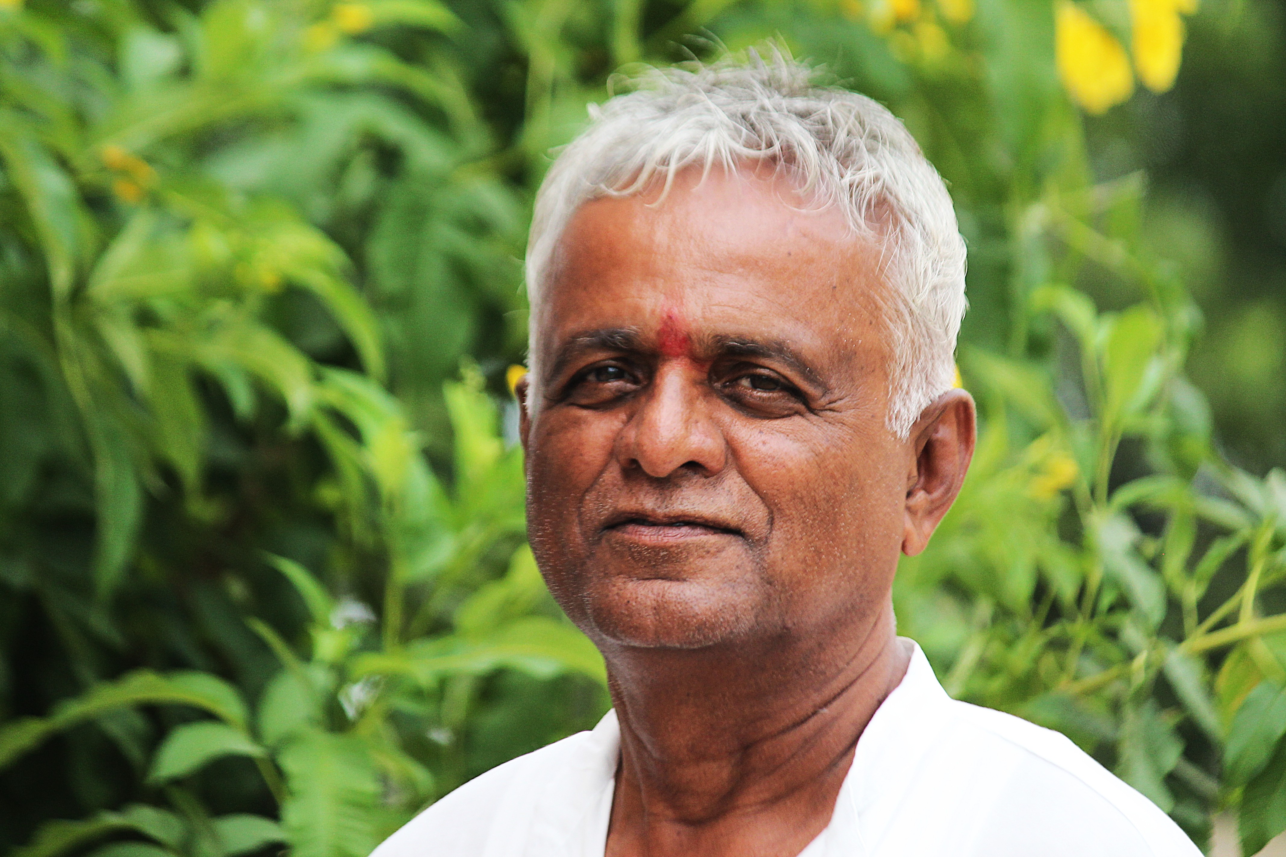 Teja Ram