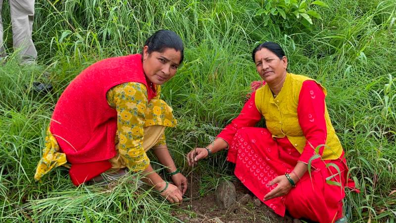 HCLTech Marks HCL Group’s 50th Anniversary with 50,000 Saplings