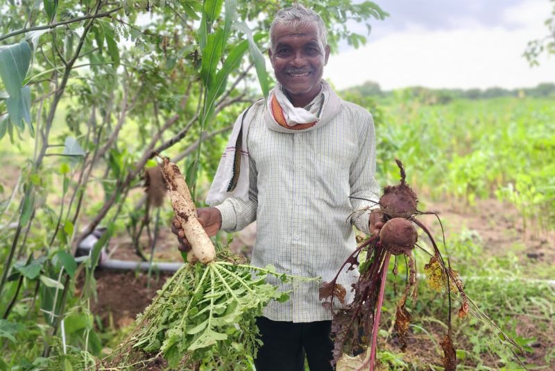 ICAP Study Finds Regenerative Agriculture Improves Soil Moisture and Crop Quality in Maharashtra