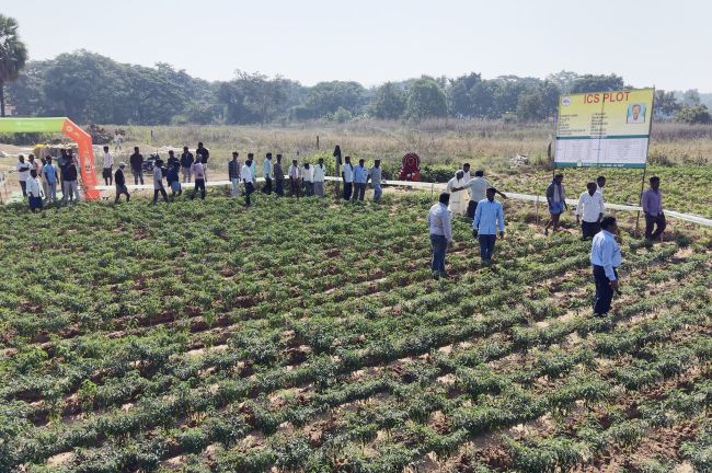 Insecticides India Ltd. Conducts ICS Training to Help Chilli Farmers Reduce Costs and Improve Productivity