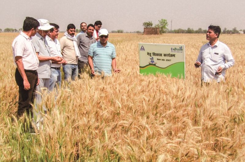 ITC Achieves FSA 3.0 Certification for Sustainable Wheat and Paddy Sourcing