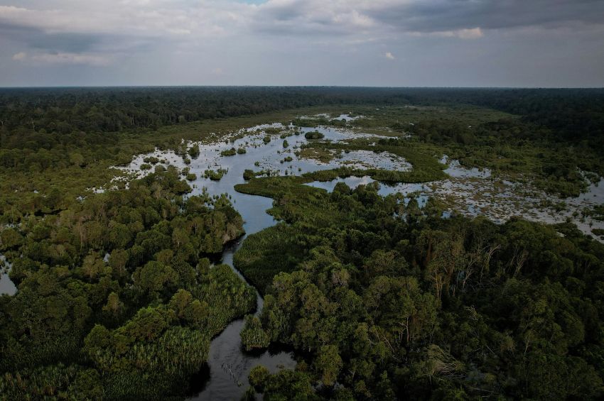 IUCN and APRIL Announce Five-Year Collaboration to Strengthen Conservation Science and Biodiversity Outcomes
