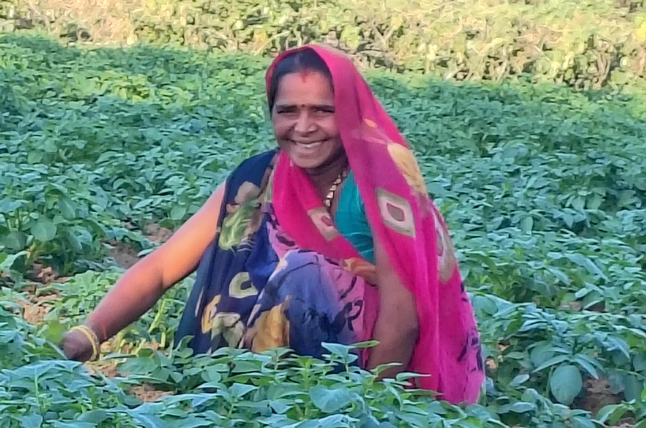 From Subsistence to Sustainability: How DS Group is Reimagining Farming as a Viable Livelihood