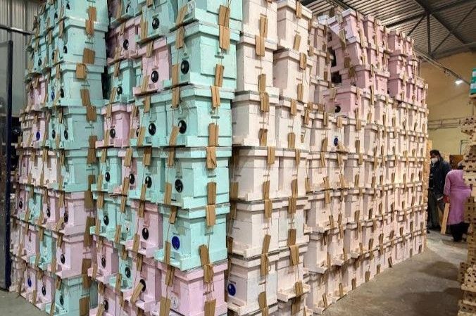 Nippon Paint India Partners with Humble Bee to Promote Sustainable Beekeeping