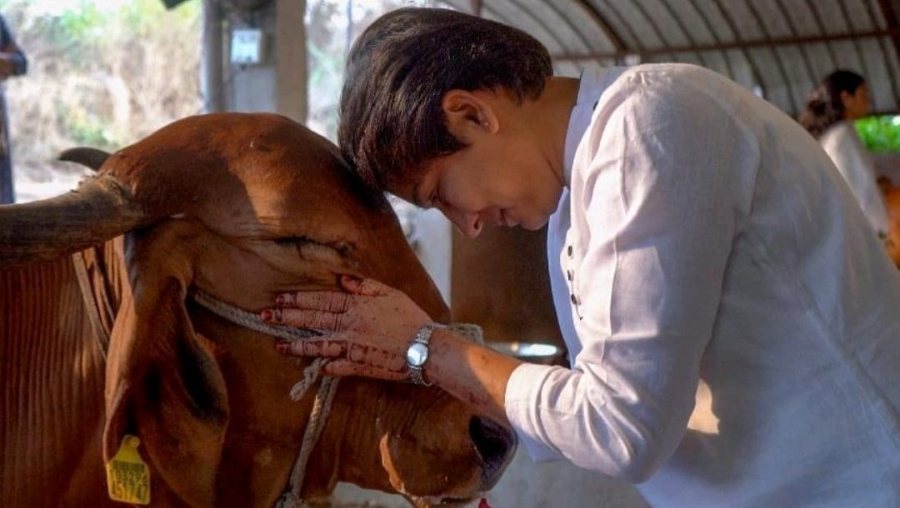 Nirvana Naturopathy Launches Initiative to Protect Ailing Cows