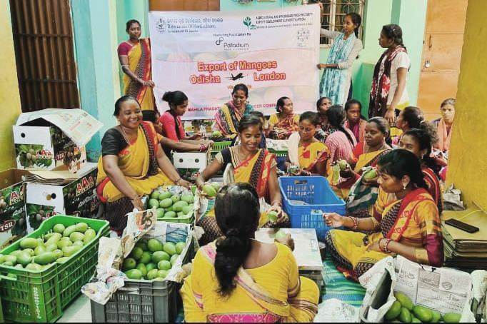 From the Fields to the Markets: The Rise of Women Farmers in Odisha