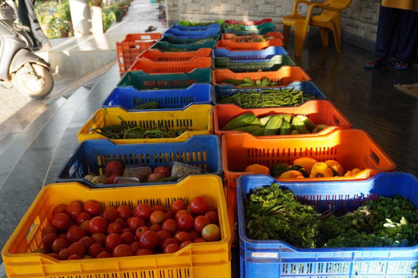 SFPI Launches ‘Navahitam’ to Improve Food Security for Vulnerable Communities