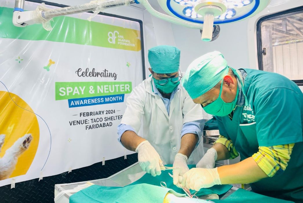 TACO Celebrates Two Years Of Pioneering Animal Welfare In India