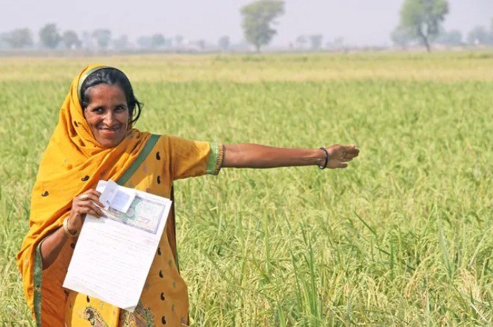 Varaha Achieves Asia’s First Enhanced Rock Weathering Carbon Credit Issuance with Puro.earth