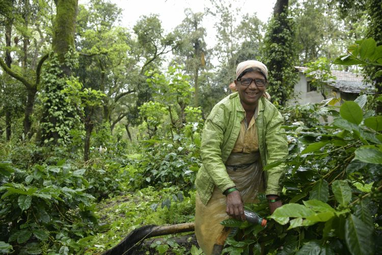 VisionSpring Foundation, UPASI Collaborate For Clear Vision Of Over 2L Tea, Coffee Workers In TN, Karnataka, Kerala By 2028