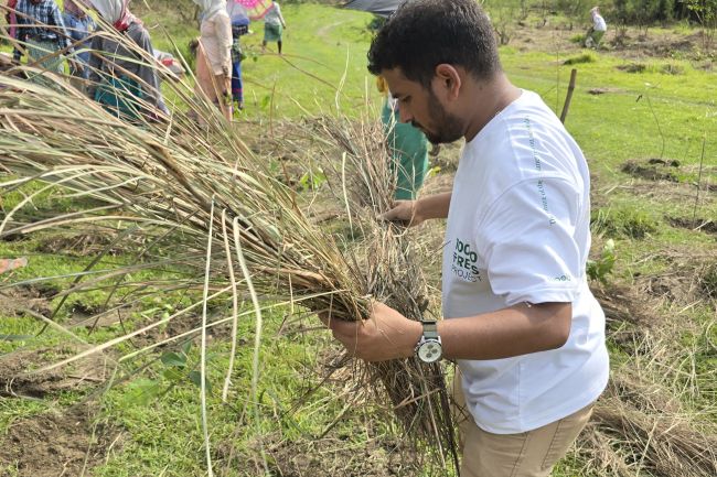 Woolah Tea Launches 10,000 Trees Initiative with Plantation Drive on Majuli Island