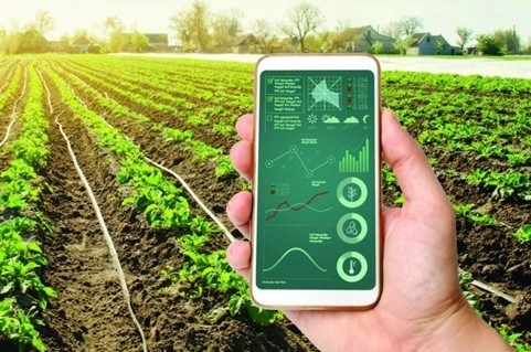 VKF Launches Agri Business Corridor In Karnataka To Cultivate New Generation Of 'Agripreneurs’