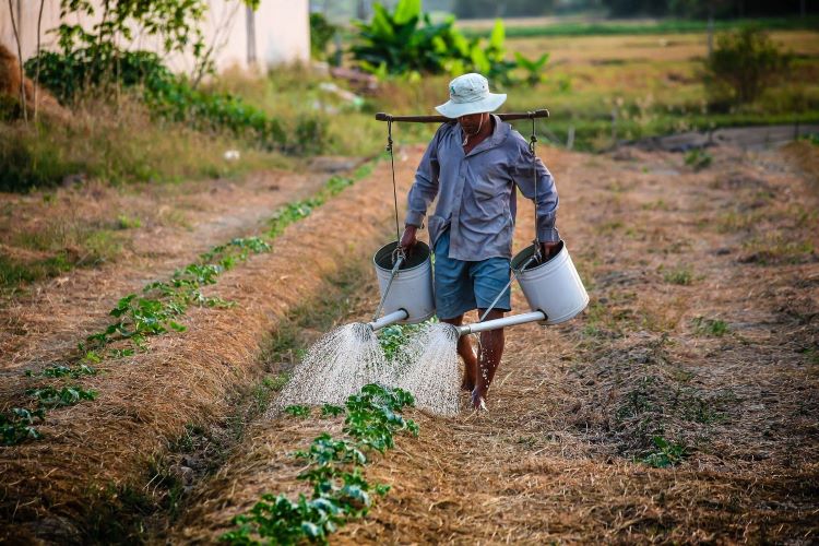 IFFCO Selects Oracle Cloud Infrastructure To Modernise Agriculture In India