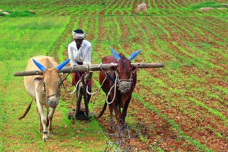 Philanthropies And Impact Investors Can Help India's Farmers Adapt To Climate Change And Boost Income, Says Study