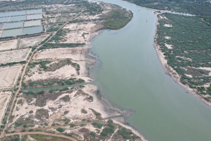 United Way Bengaluru Launches Campaign To Restore Mangrove Ecosystems