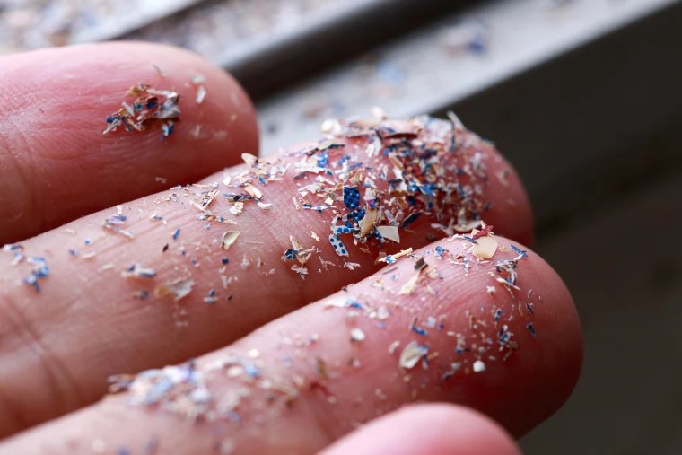 IIT study finds hazardous micro-plastics in Patna rainwater