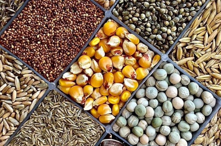 Mamaearth Partners With Swiggy Instamart To Provide Complimentary Seed Samples To Nearly 30K People