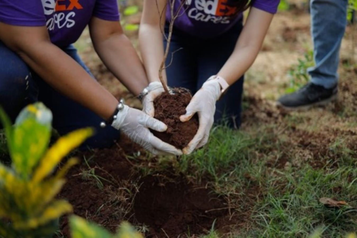 Fedex To Invest USD 2 Million In Global Urban Conservation Efforts